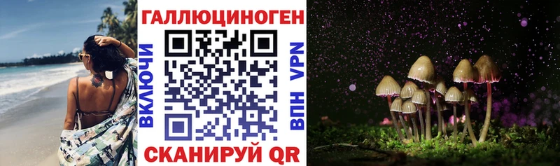 Галлюциногенные грибы мухоморы  магазин продажи   Городец 